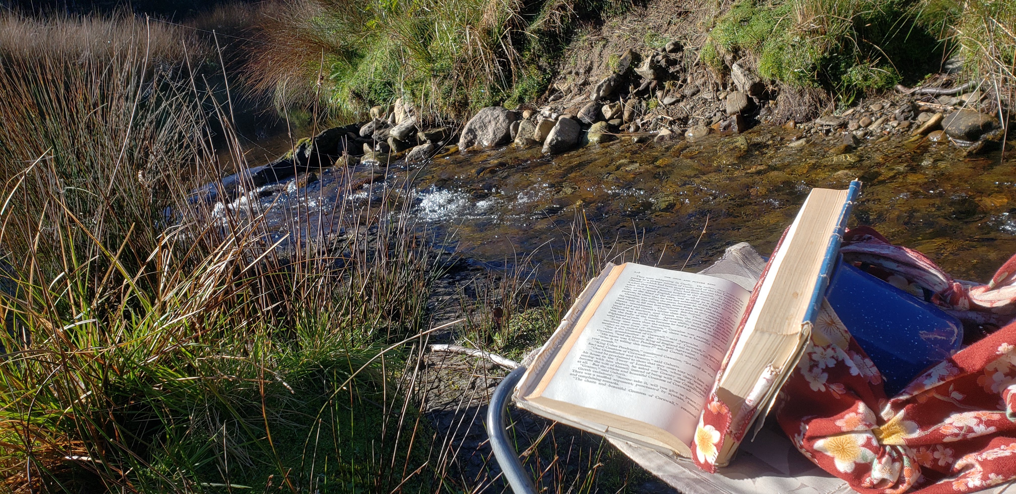 My reading set up by the creek in Tasmania.