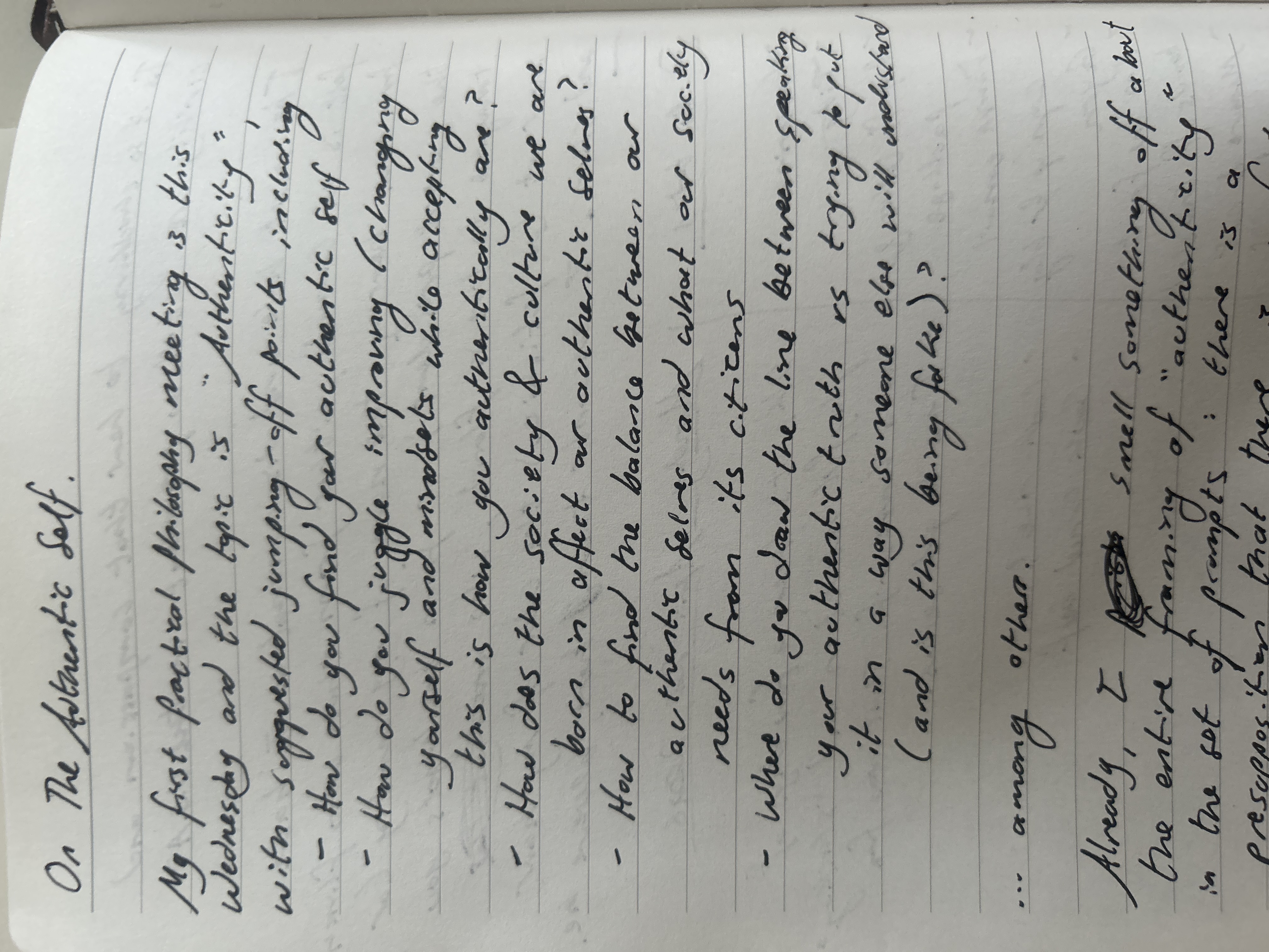 A photo of the journal entry I transcribed for your reading pleasure.